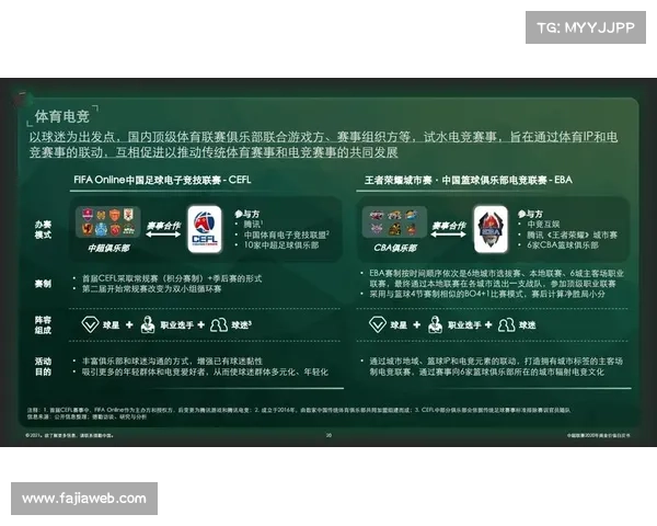 中超商业价值评估：版权分销、赞助体系与球迷消费