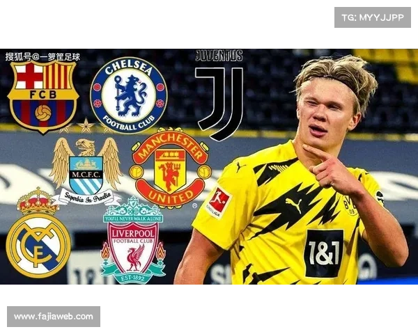 切尔西安塞尔米诺租借多特，伤病影响出场时间