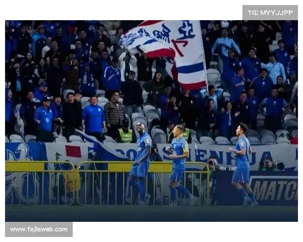 从领先6分到屈居亚军：上海申花赛季后半程滑坡分析