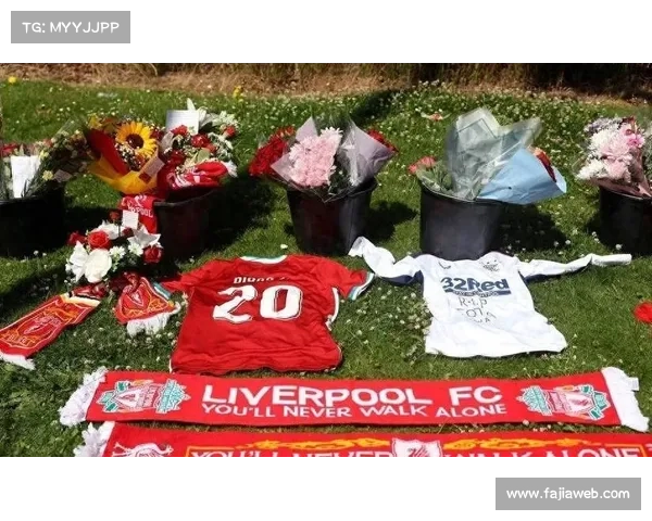 利物浦球迷集体抗议欧足联，安菲尔德横幅谴责决赛混乱